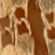 29847-bra-g-7-eP