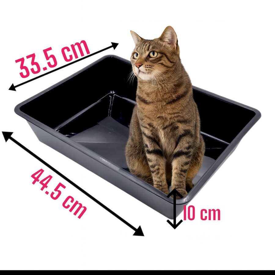 Arenero Tina Grande Para Gatos - Unitalla - Ver 1