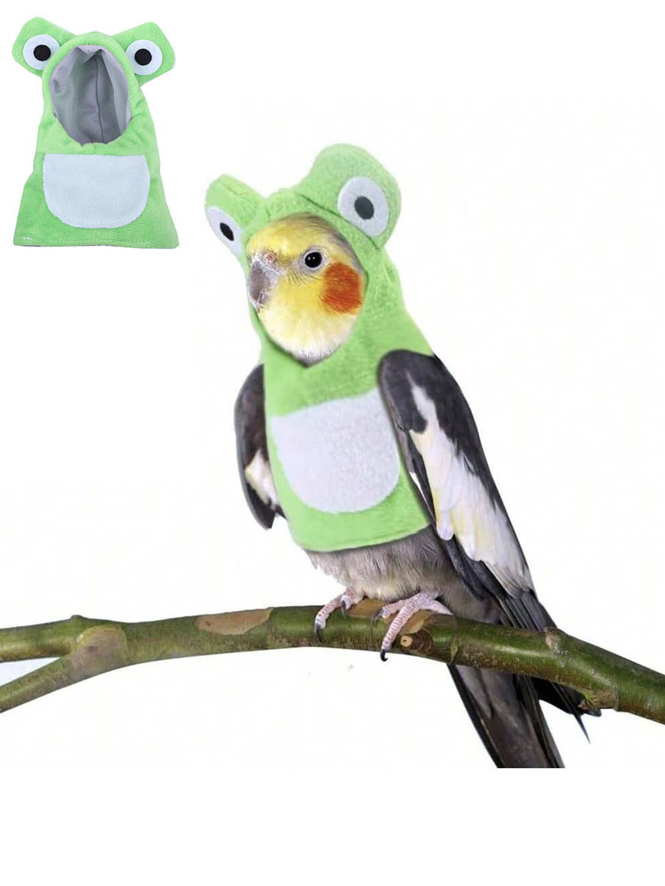Traje de vuelo con pañal para loro con estampado de rana verde, con ...