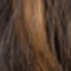Dark Brown mix Sandy Blonde