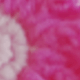 多色1