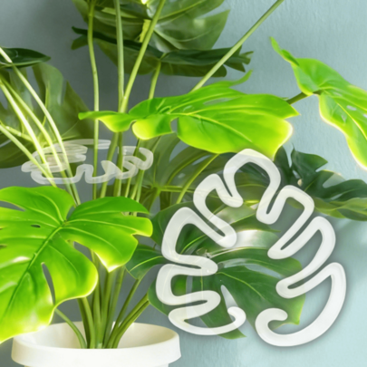 5pcs Flexible Transparent Plant Support Clips - Adjustable Non-Slip Gardening Clips, Suitable For Indoor/Outdoor, Greenhouse, Potted Plants, Snake Plant, Peace Lily - Durable Lightweight Plastic Training Clips, Modern Transparent Design