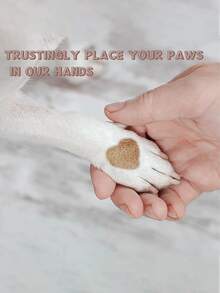 1个木制可拆卸狗狗指甲锉，狗狗用品，圆形指甲锉，缓解狗狗压力 - 彩色 - 查看 5