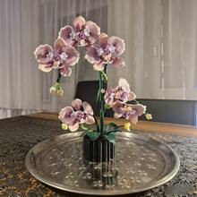 蝴蝶花束积木套装，室内办公室植物装饰，色彩鲜艳，包含紫色、粉色、黄色、绿色、棕色、橙色以及蝴蝶元素，是圣诞节、复活节、母亲节、情人节送给花卉爱好者的完美礼物。 - 彩色 - 查看 5