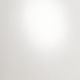 珠光白