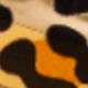 estampado de leopardo