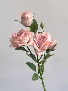 French-Style Artificial Rose, Home Decor Accessories, Single Stem With Three Heads And Burnt Edges, Vintage Style, Featuring A Sophisticated Look With Artificial Flowers And Dried Flowers, Ideal For Home, Wedding, And Event Decorations, Decorations For Valentine's Day