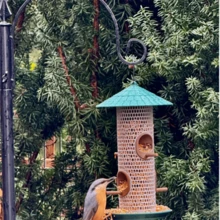 Classic Outdoor Hanging Bird Feeder - Heavy Duty ABS Plastic Mesh Seed Dispenser With Weather-Resistant Red Roof And Tray - Squirrel-Proof Design, Easy To Clean And Refill - Attracts Small Birds - 1L - View 7