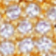 Golden Cat