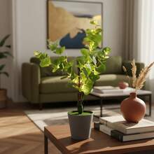 Árbol decorativo navideño con luz LED cálida de 50 cm para sala dormitorio escritorio navidad decoración interior moderna ideal para ambientar espacios acogedores lámpara navideña estilo árbol luminoso para decoración de hogar y oficina en Christmas - Verde - Ver 4