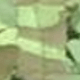 xanh quân đội