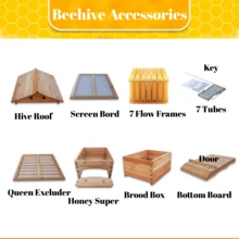 Active Hive Bee Hives Boxes Starter Kit - With 7 Honey Flowframes, Bee Beekeeping Starter Kit - Màu Mù tạt vàng - Xem 4