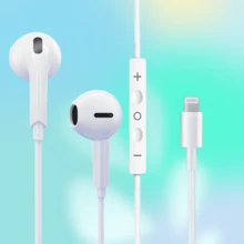 兼容的有线耳机，USB-C舒适入耳式耳机，Type-C音频耳机，3.5mm插孔HiFi立体声入耳式有线耳机，带麦克风和通话控制器，降噪，兼容 17/16/16 Plus/16 Pro/16 Pro Max、 15/14/13-6系列、Galaxy S24/S23/S22，支持CarPlay，兼容iPad、PC，像素灰