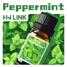 HWLINK 10毫升/0.33液盎司薄荷精油，100%纯天然植物油，适用于车载香薰、芳香疗法、礼品、旅行必备、清爽薄荷油、香薰机、蜡烛制作 - Peppermint - 查看 10