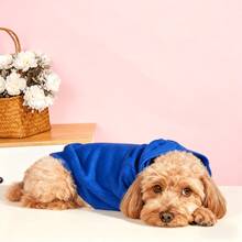 1pc Pet Clothing, Dog And Cat Clothing, Autumn And Winter Warm Hoodie, Comfortable And Soft Small And Medium-Sized Dog Hoodie, Solid Color Light Plate Hoodie