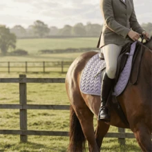 TGW RIDING Classic Saddle Pad With Elegant And Unusual Quilting. The Girth Loops Are Opened By Touch Tape Fastener. The Lining Ensures Good Sweat Absorption, 280 G/M² Padding And 10 Mm Of Foam Ensure Outstanding Pressure Equalization.