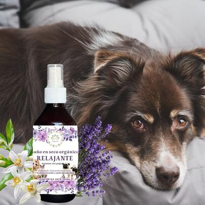 Baño En Seco Relajante Orgánico Para Mascotas Domésticas 250 ML