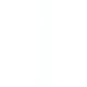 彩色