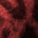 Rose Red