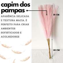 10/20/30/40 Plumas Capim Pampas 55cm Decoração Festa Casamento Moderna Arranjo Artificial - Creme - Visão 3