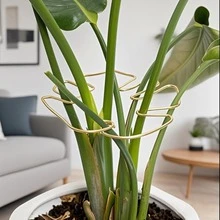 Durable Monstera Plant Trellis - Unique Climbing Plant Design, Tortoise Shell Clip Set, Ideal Plant Support For Thriving Decorative Plants - Multicolor - View 7
