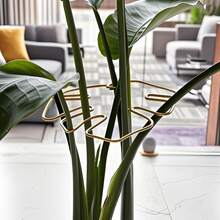 Durable Monstera Plant Trellis - Unique Climbing Plant Design, Tortoise Shell Clip Set, Ideal Plant Support For Thriving Decorative Plants - Multicolor - View 12