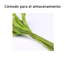 100g Ligas de Hule Resistentes 38mm (1.5") / Bandas Elásticas de Goma Multiusos para Oficina, Escuela y Hogar / Organizador de Cables, Papelería, Flores y Dinero / Alta Elasticidad Color Beige Natural - Beis - Ver 2
