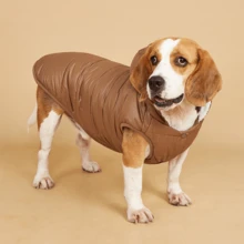 1 قطعة جاكيت شتوية مبطنة ذات لون أحادي بسيط للحيوانات الأليفة، معطف مقاوم للرياح للخارج للكلاب المتوسطة/الكبيرة، مثل الريتريفر الذهبي