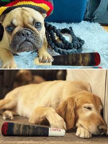 1个互动趣味狗狗玩偶 - 毛绒吱吱作响的雪茄咀嚼玩偶，适合小型和中型犬咀嚼和清洁牙齿（狗狗便便袋、狗狗、送给男友的礼物、礼物、快乐小狗搜索）