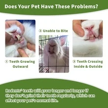 天然木制兔子咀嚼玩具 - 木瓜木咀嚼棒，适用于仓鼠、豚鼠、大鼠、沙鼠和其他小型宠物 - 彩色 - 查看 10