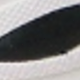 黑