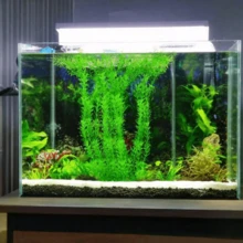1 Cây trang trí bể cá sống động, cây thủy sinh nhân tạo, đồ trang trí bể cá bằng nhựa ABS, cây thủy sinh thực tế cho bể cá nước ngọt tại nhà, cung cấp chỗ ẩn náu và nghỉ ngơi tự nhiên cho cá và tôm. - A - Xem 4