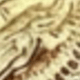 Vàng