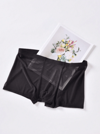 1 Piece Men's Briefs Erotic Mesh Men's Boxer Briefs