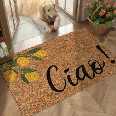 1 件经典柠檬印花天鹅绒门垫，四季皆宜，主要用于前门/后门、客厅入口、卧室、餐厅、书房等，新款热销商品，可机洗，柔软天鹅绒材质，个性化家居装饰