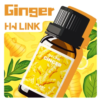 HWLINK 10毫升生姜精油 - 100%纯天然 | 温暖辛香，适用于香薰机 | DIY蜡烛制作材料 | 香薰礼品 | 车载空气清新剂 | 礼品