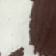 Màu sắc