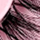 Cat Eye Lashes