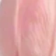 White Pink