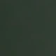 Green 20