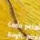 2231girassol