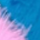 Multicolor