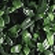 Green 3FT/90CM