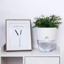 1 pieza Maceta autorriego de 6 pulgadas, maceta de jardín blanca para plantas de interior, maceta transparente con nivel de agua visible, maceta de flores de estética moderna para decoración de escritorio, sala, cocina, dormitorio y alféizar, adecuada para plantas de interior y exterior, orquídeas, hierbas, pothos, suculentas, violetas (Blanco)