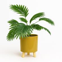 Modern Minimalist Tripod Decorative Plant Pot - 金色 - 查看 3