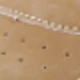 Màu Khaki