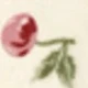 彩色