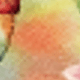 Multicolor