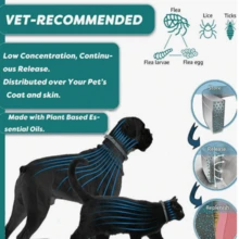 Adjustable Collars,Small Dog Vet-Recommended Flea ,Tick Treatment And Prevention Collar For Dogs And Cat,8 Months Protection - con mèo - Xem 4