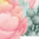 彩色